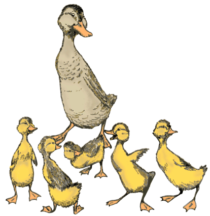 DucklingsDW color recomb wpath 13in MrsM +5 LD.tif