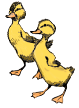 DucklingsDW color recomb w path,2 right ducks.tif